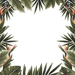 矢量天堂鸟背景下载