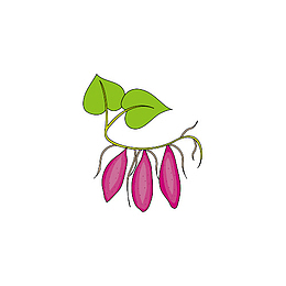 卡通一串新鲜红薯插画免抠