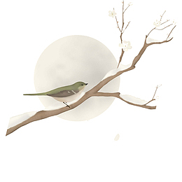 霜降节气树枝雪花小鸟装饰下载