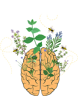 绿色植物