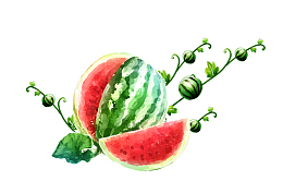清凉一夏西瓜促销装饰画