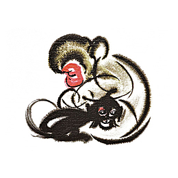 中国风水墨两只猴子抓痒插画免抠