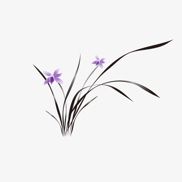 中国风水墨植物兰花