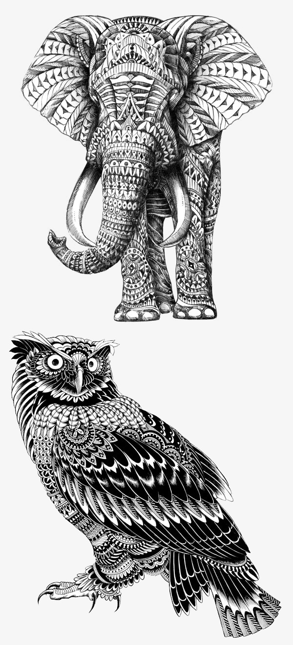 手绘创意花纹大象