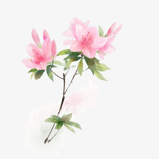 手绘中国风png免扣花卉