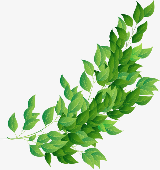 大自然绿色大树叶子素材免费下载_觅元素