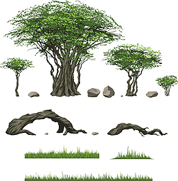 绿色的大树和棕色的树根