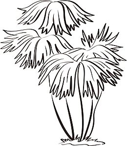 线描树木叶子透明png