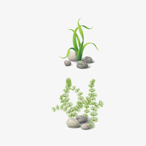 水草免抠下载免抠素材免费下载_觅元素51yuansu.com