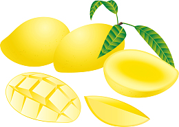 整个芒果黄色切片免费下载