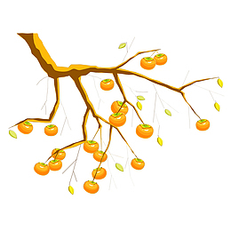 霜降节气柿子果柿子树装饰下载
