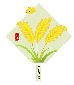 二十四节气小满小麦海报
