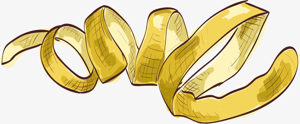 矢量手绘橘子皮