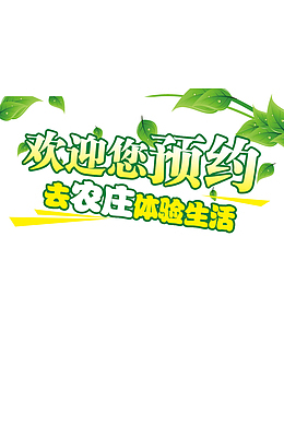 预约体验