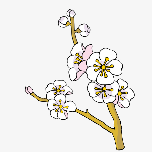 关键词 : 花朵,白色,手绘,枝丫,枝条,杏花,黄色花蕊,简笔画[声明] 觅