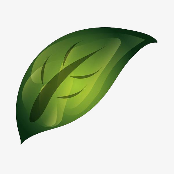 绿色手绘矢量树叶