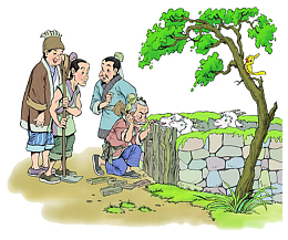 生活的自然
