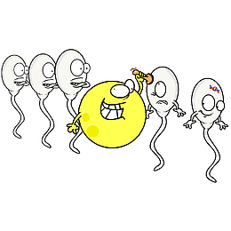 卡通卵子给精子盖章
