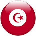 突尼斯世界杯旗