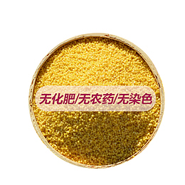 无化肥无农药无染色优质有机小米