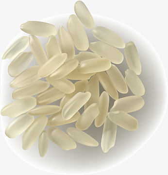 矢量手绘写实米粒