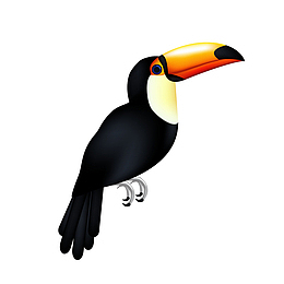 黑色大嘴鸟矢量图