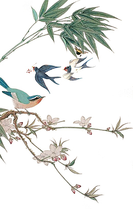 手绘中国风春天小鸟素材