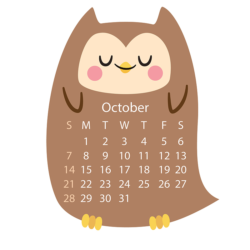 卡通可爱的小鸟装饰日历