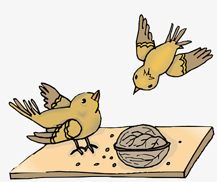 矢量小鸟觅食素材