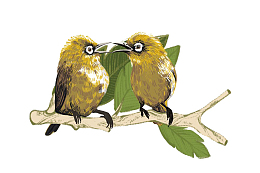 一对小鸟站树上