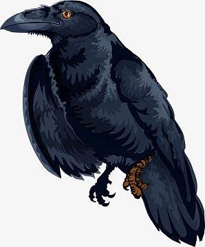 黑色卡通乌鸦