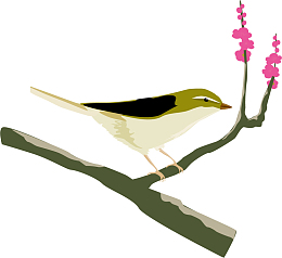 站在树枝上的麻雀