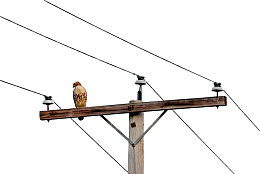手绘木制电路电线杆
