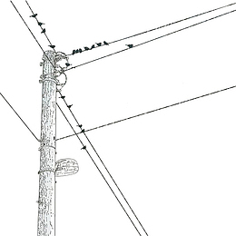 手绘黑色线条电线杆
