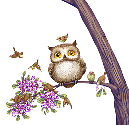 站在猫头鹰头顶的的小鸟