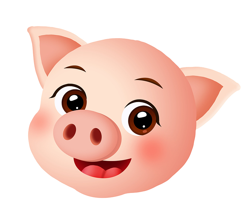 卡通手绘2019年可爱动物猪