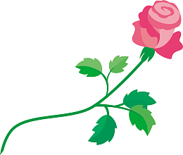 玫瑰花月季花矢量