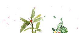 绿色手绘棕树插画免抠