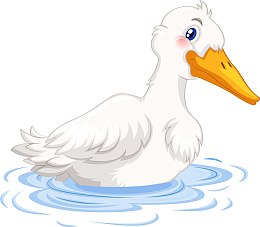 鸭子游泳白鸭矢量