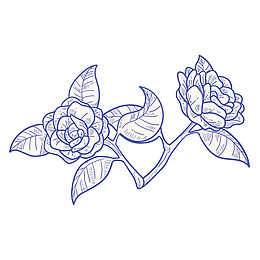 素描蓝色玫瑰花设计