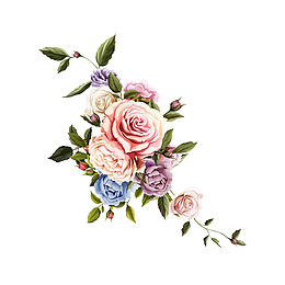 情人节玫瑰花素材图案
