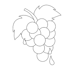 水滴可爱葡萄简笔画