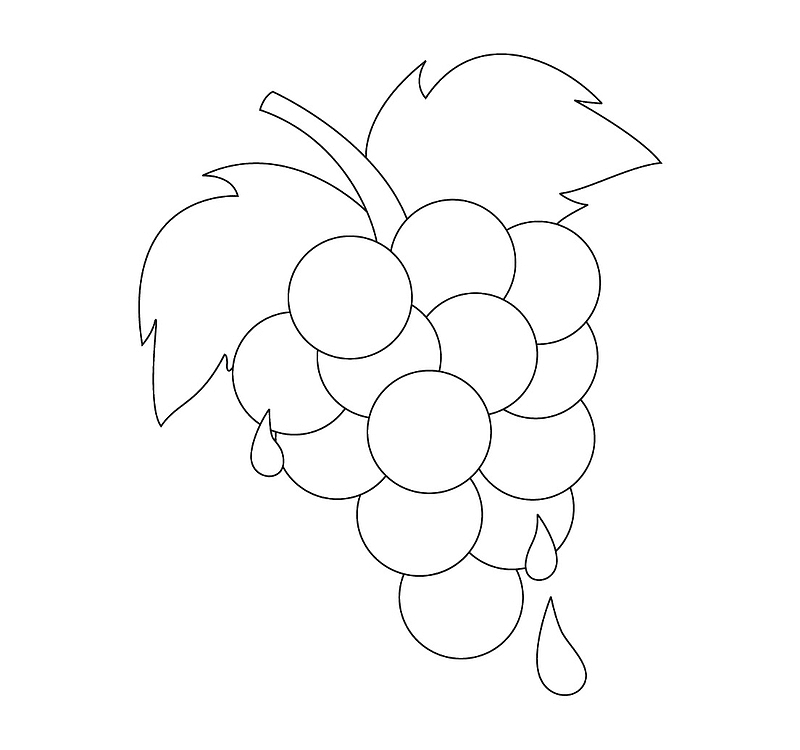 水滴可爱葡萄简笔画