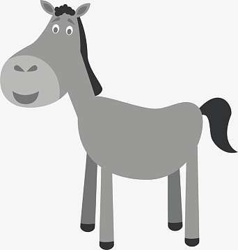 呆萌灰色毛驴