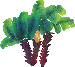 创意水彩夏日椰树装饰插画