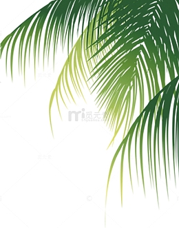 椰子树素材