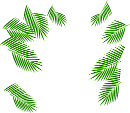 边角椰树树叶装饰