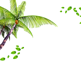 椰树树叶装饰背景