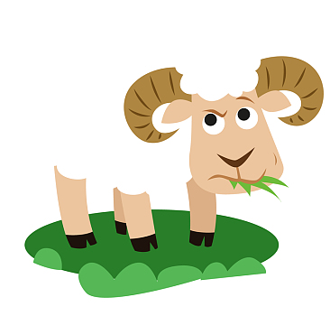 正在吃草的小绵羊