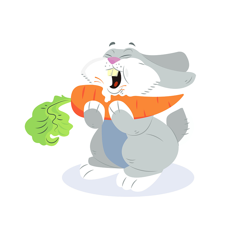 吃胡萝卜的兔子矢量图